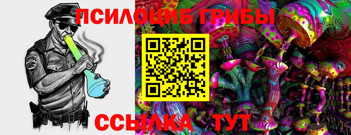 Галлюциногенные грибы Magic Shrooms  Вход с VPN  Псилоцибиновые грибы Cubensis  купить   Чернушка 
